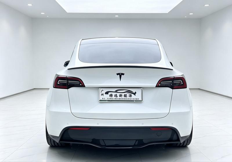 Tesla Model Y, 2021 — фото 6 из 12
