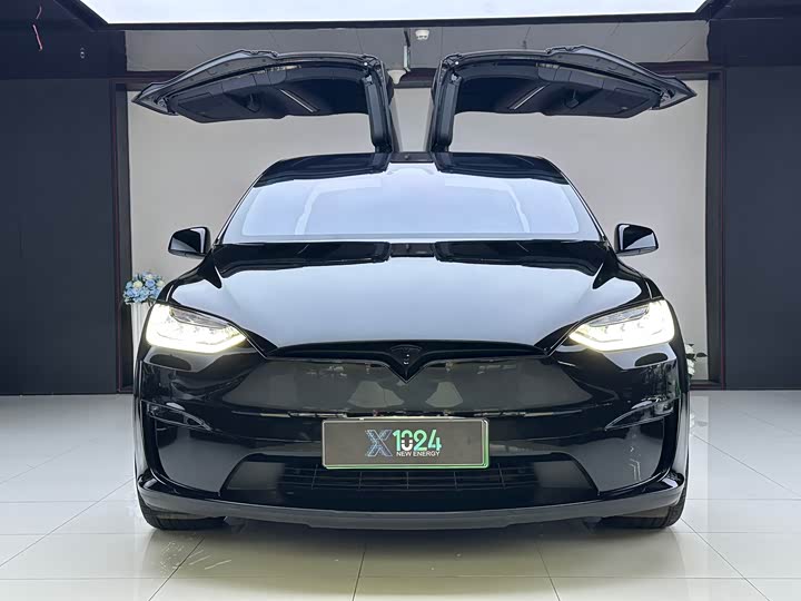 Tesla Model X, 2023 — фото 2 из 9
