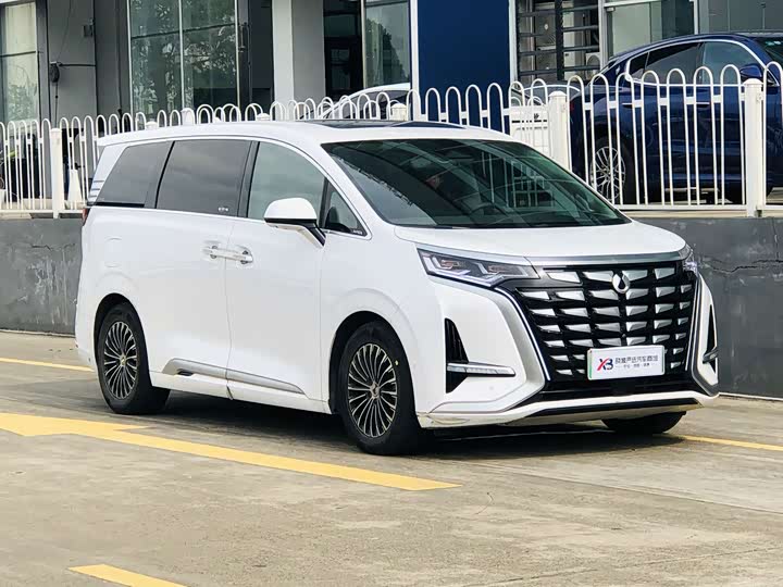 Denza D9, 2022 — фото 3 из 9