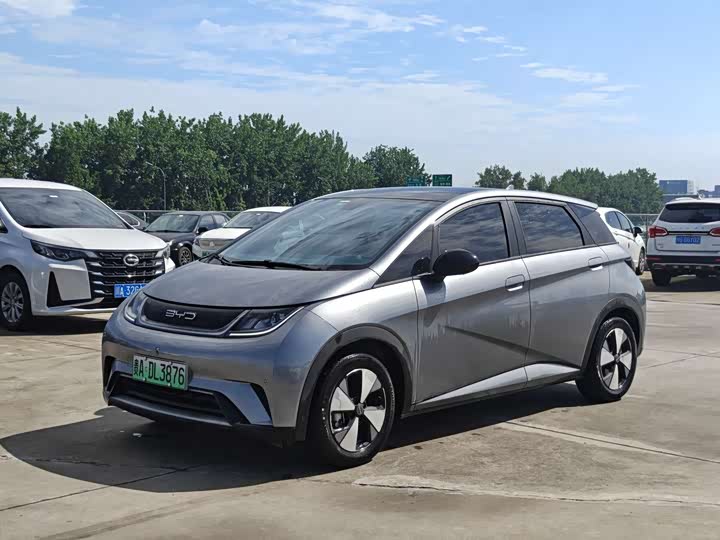 BYD Dolphin, 2023 — купить в Иванове под ключ