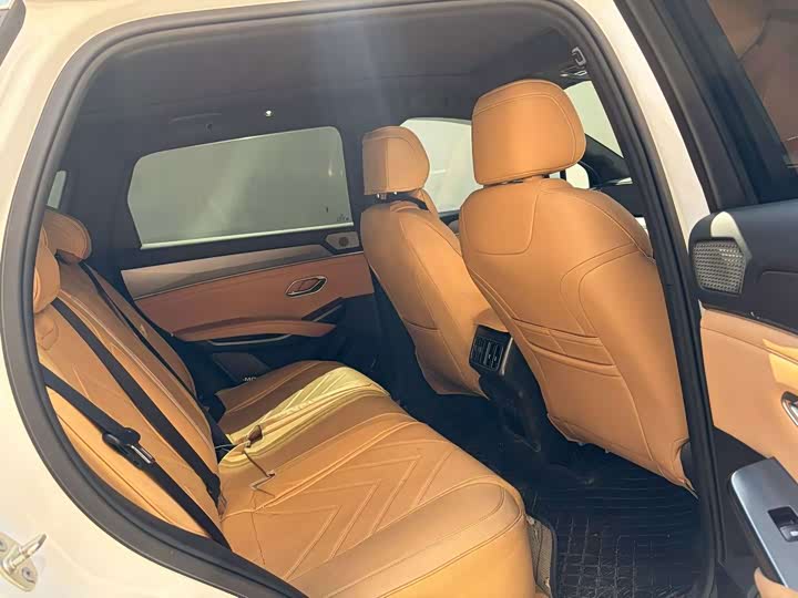 BYD Song L DM-i Hybrid, 2024 — фото 9 из 9