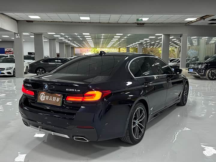 BMW 5 Series Hybrid, 2022 — фото 9 из 9