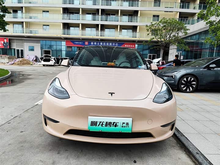 Tesla Model Y, 2023 — фото 2 из 9