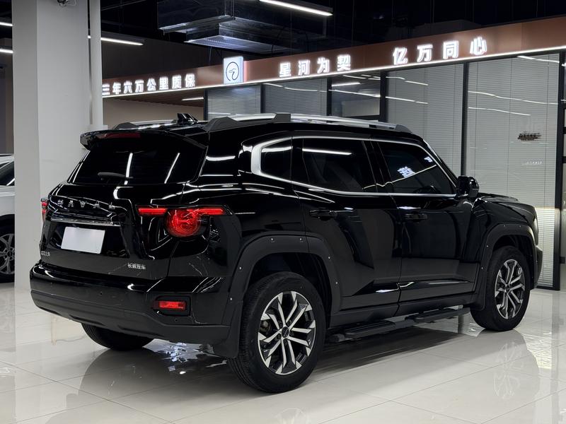 Haval H-Dog, 2023 — фото 6 из 12