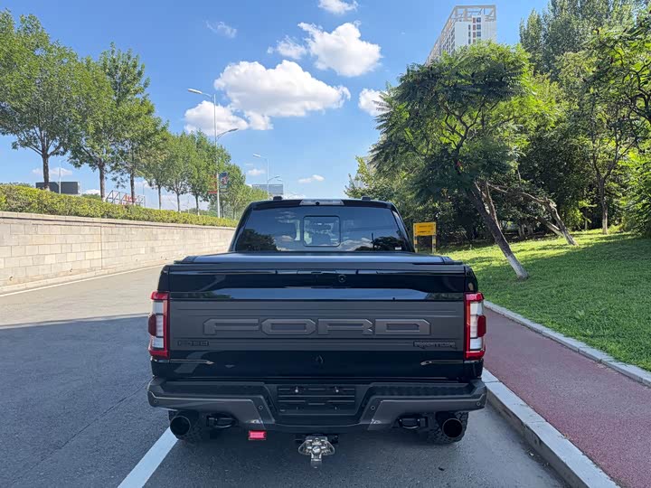 Ford F-150 Raptor, 2024 — фото 5 из 9