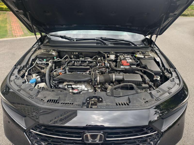 Honda Accord, 2024 — фото 8 из 12