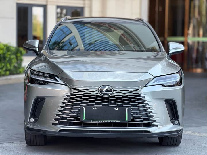 Lexus RX Hybrid, 2023 — фото 3 из 9