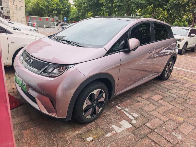 BYD Dolphin, 2024 — купить в Туле под ключ