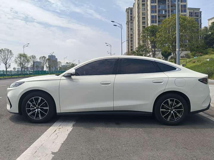 BYD Seal 06 Hybrid/EV, 2024 — фото 4 из 9