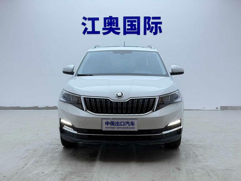 Skoda Kamiq, 2023 — фото 2 из 12