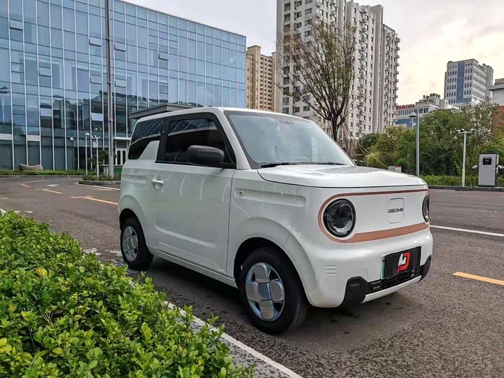 Geely Galaxy Panda Mini, 2025 — фото 3 из 7