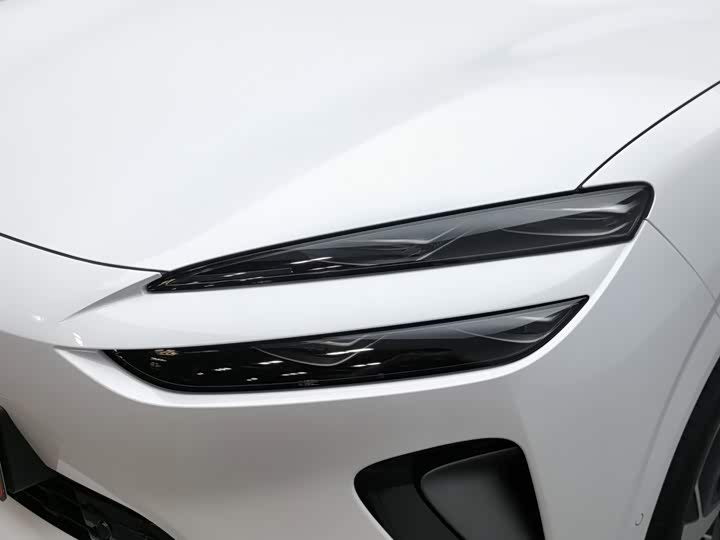 BYD Sea Lion 06 Hybrid/EV, 2025 — фото 7 из 9