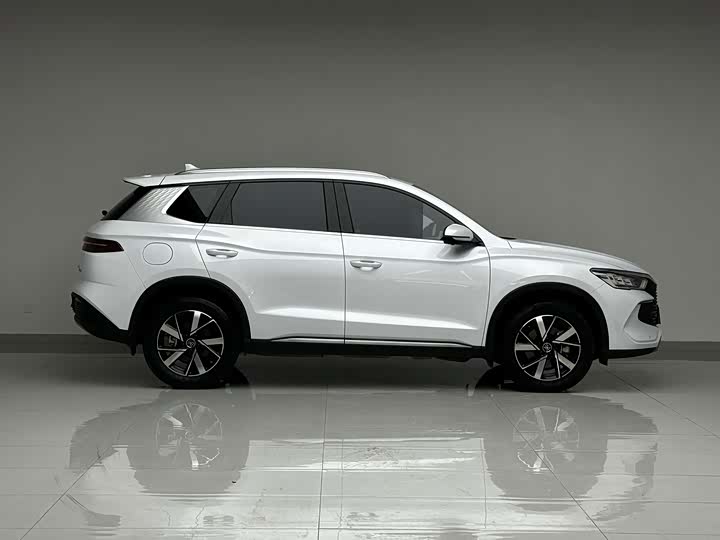 BYD Song Pro Hybrid, 2024 — фото 4 из 9