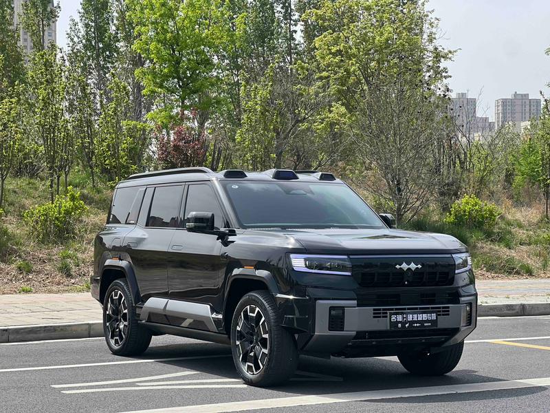 BYD FangChengBao Leopard 8, 2025 — фото 3 из 10