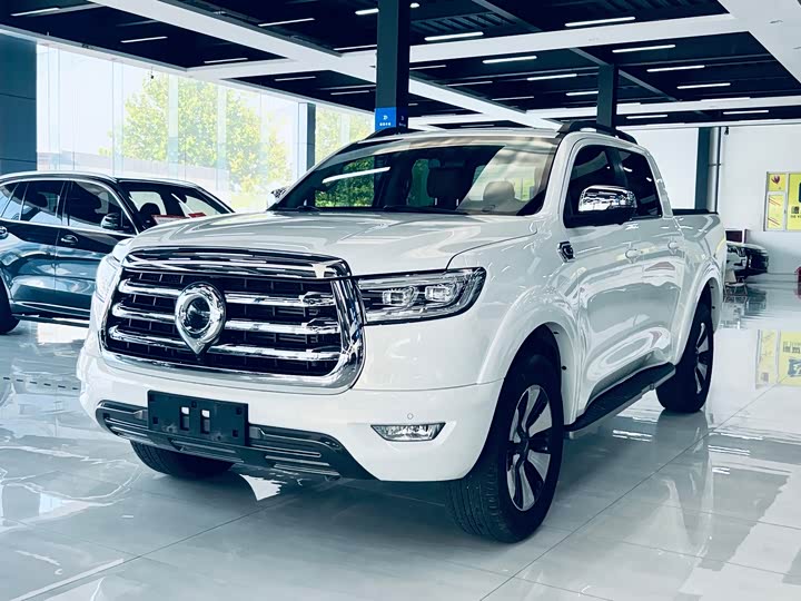 Great Wall Pao, 2022 — купить в Иванове под ключ