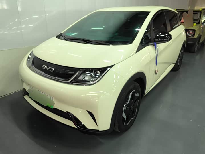 BYD Dolphin, 2024 — купить в Владимире под ключ