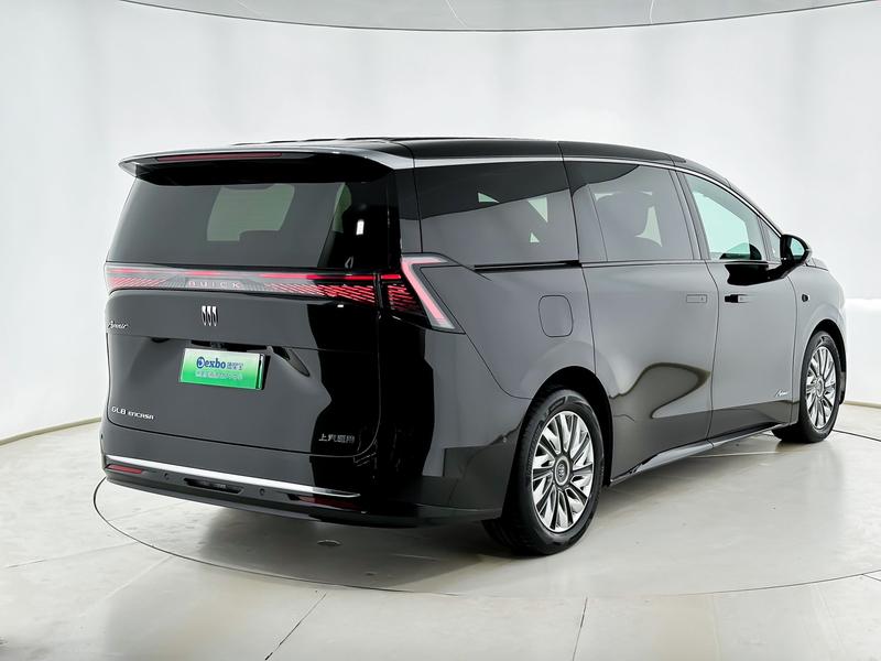 Buick OMPV, 2025 — фото 4 из 11