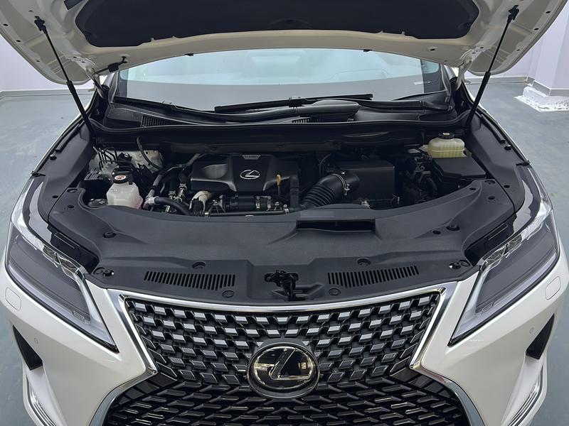 Lexus RX, 2022 — фото 12 из 12