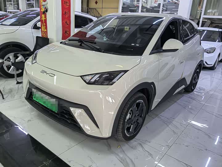BYD Seagull, 2023 — купить в Ульяновске под ключ