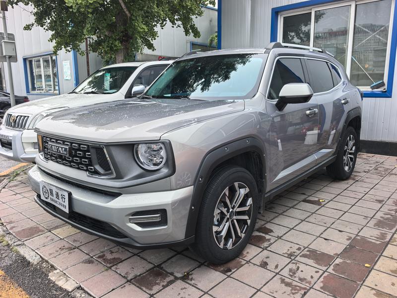 Haval H-Dog, 2023 — купить в Иванове под ключ