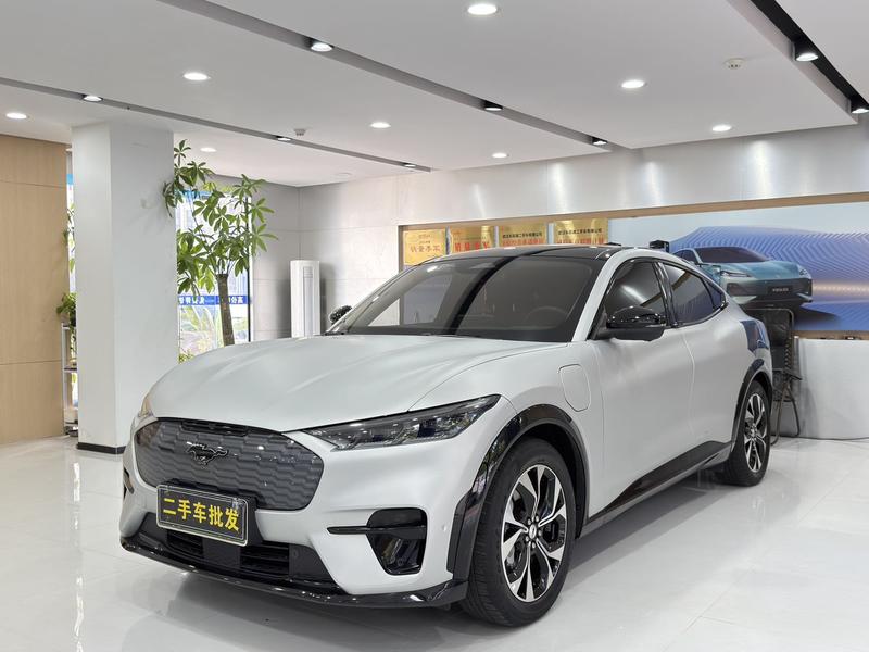 Ford Mustang Mach-E, 2022 — купить в Санкт-Петербурге под ключ