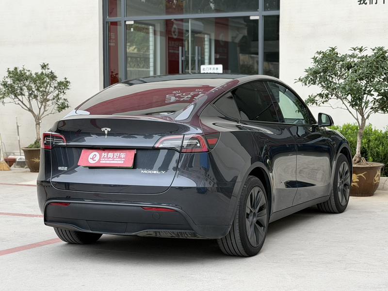 Tesla Model Y, 2024 — фото 6 из 10