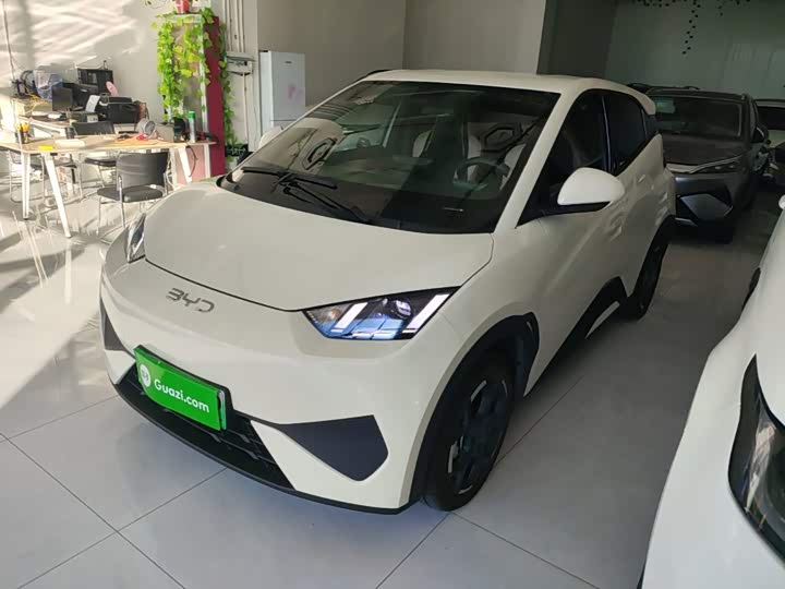 BYD Seagull, 2025 — купить в Оренбурге под ключ