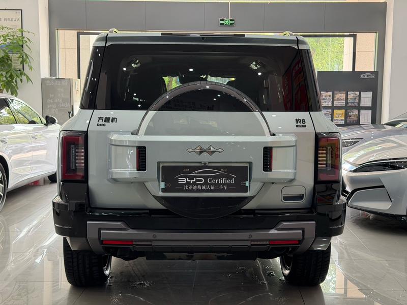BYD FangChengBao Leopard 8, 2024 — фото 5 из 12
