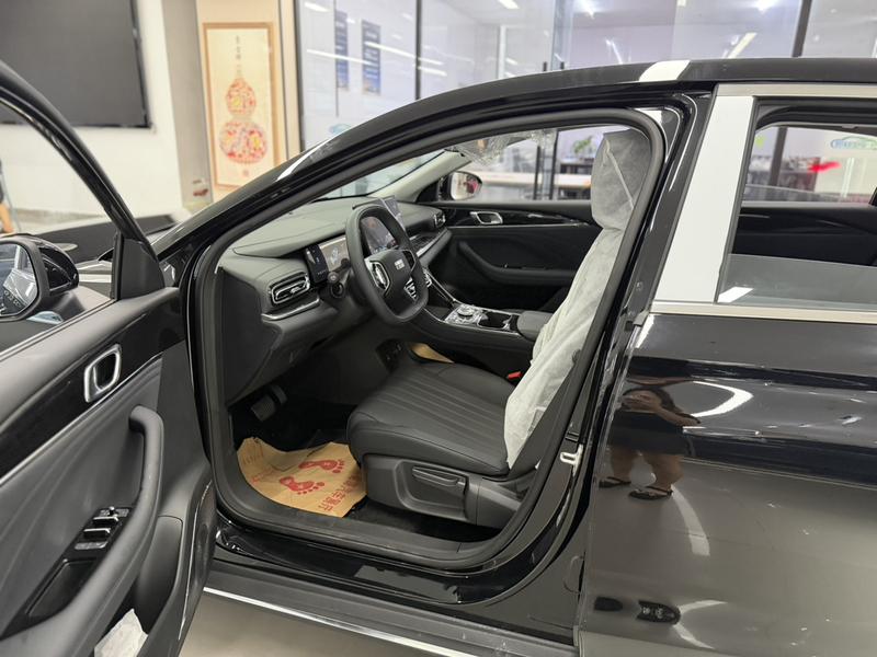 Geely Galaxy Starshine 6, 2025 — фото 9 из 11