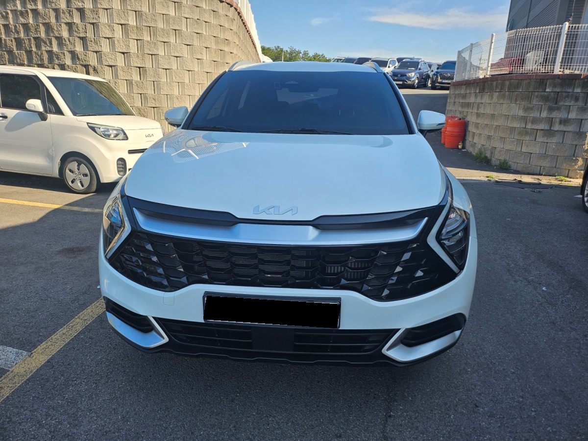 Kia Sportage, 2023 — фото 2 из 12