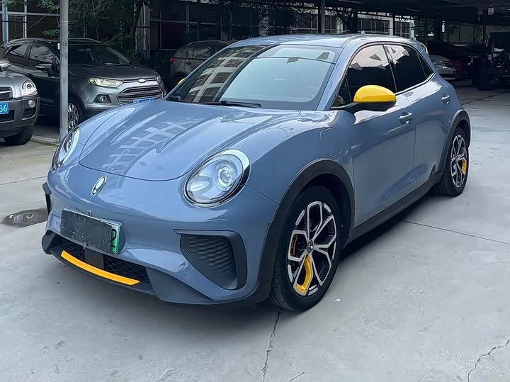 Ora Good Cat GT (03 GT), 2023 — купить в Кирове под ключ
