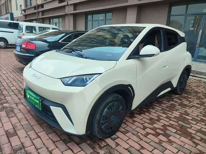 BYD Seagull, 2024 — купить в Смоленске под ключ