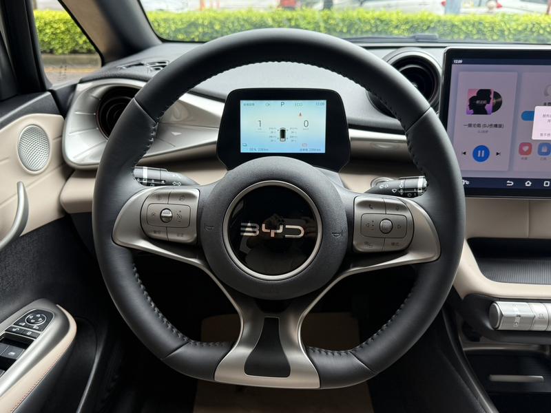 BYD Dolphin, 2026 — фото 11 из 12