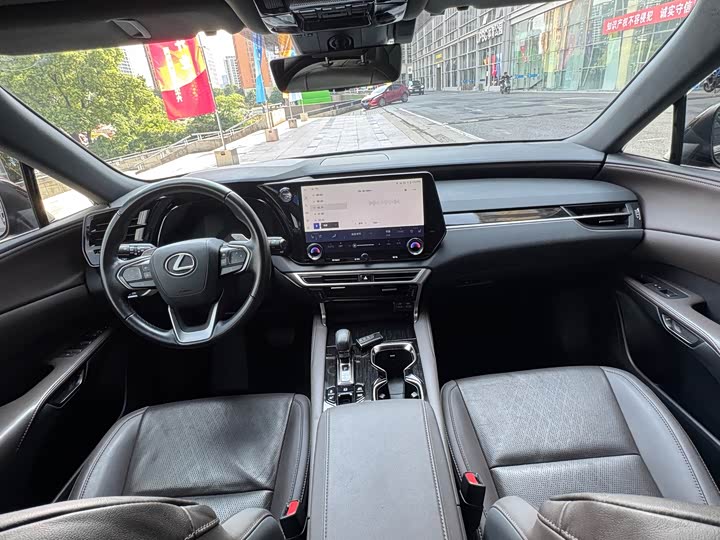 Lexus RX Hybrid, 2023 — фото 5 из 9