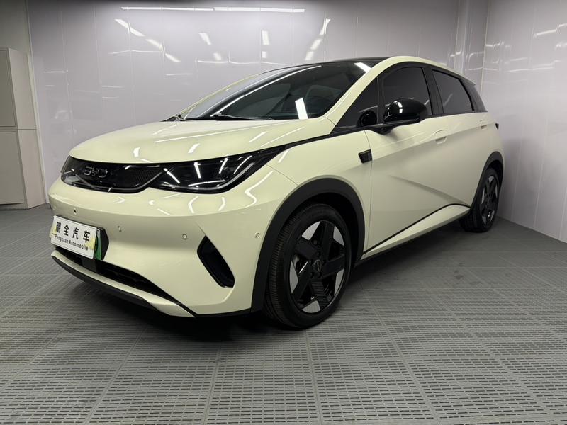 BYD Dolphin, 2025 — купить в Иванове под ключ