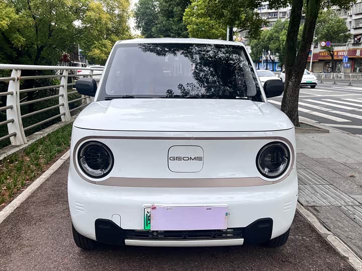 Geely Galaxy Panda Mini, 2023 — фото 2 из 9