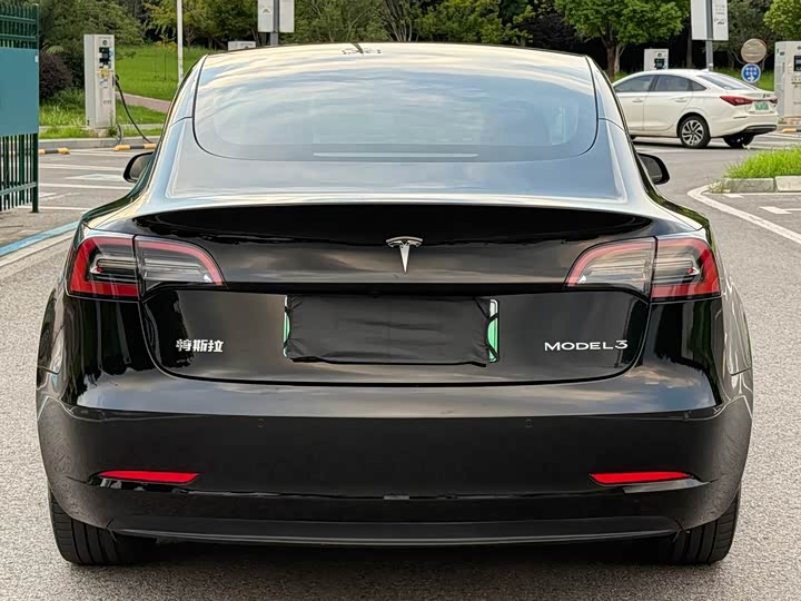 Tesla Model 3, 2021 — фото 8 из 9