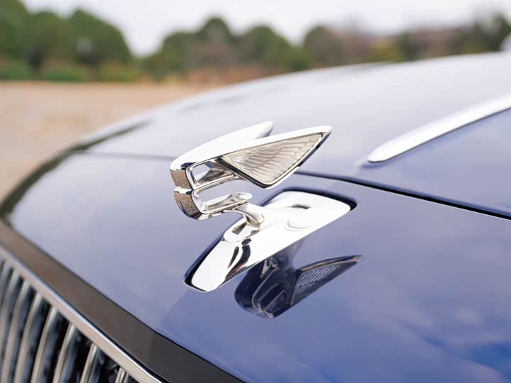 Bentley Flying Spur, 2023 — фото 5 из 9