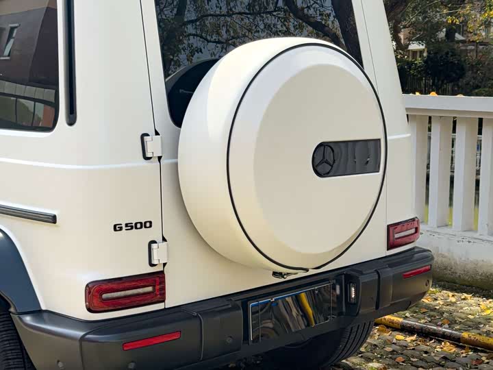 Mercedes-Benz G-Class, 2022 — фото 9 из 9