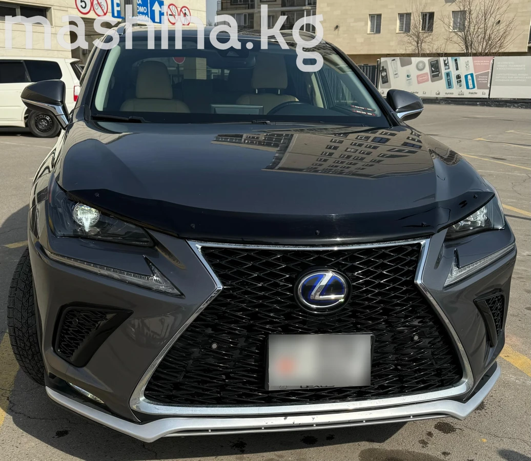Lexus NX, 2021 — фото 2 из 6