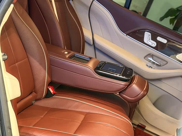 Mercedes-Benz Maybach GLS, 2022 — фото 8 из 9