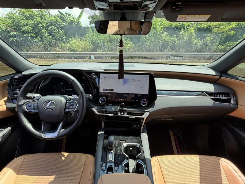 Lexus RX, 2025 — фото 7 из 10