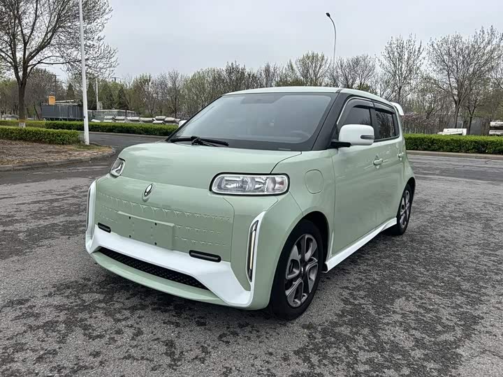 Ora White Cat, 2022 — купить в Кирове под ключ