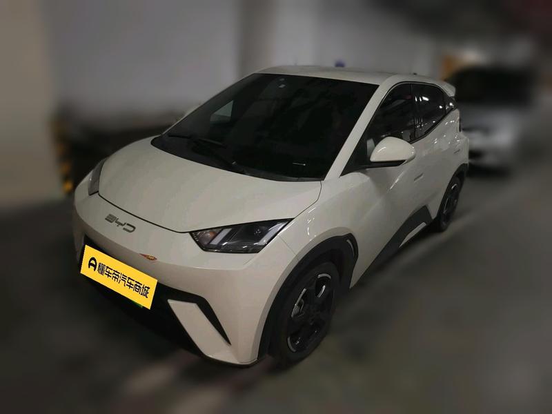 BYD Seagull, 2023 — купить в Тамбове под ключ