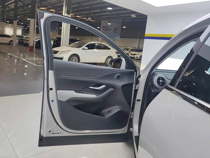 BYD Sea Lion 05 DM-i Hybrid, 2025 — фото 7 из 9