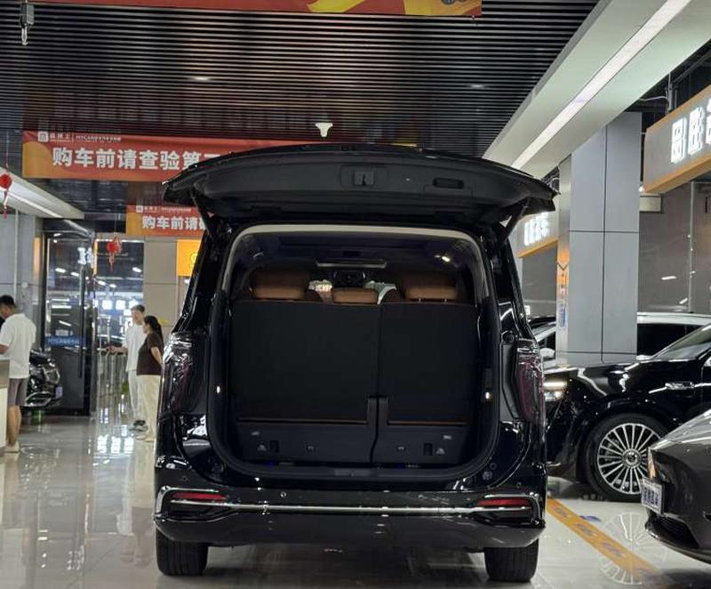 Hongqi HQ9 Hybrid, 2025 — фото 11 из 12