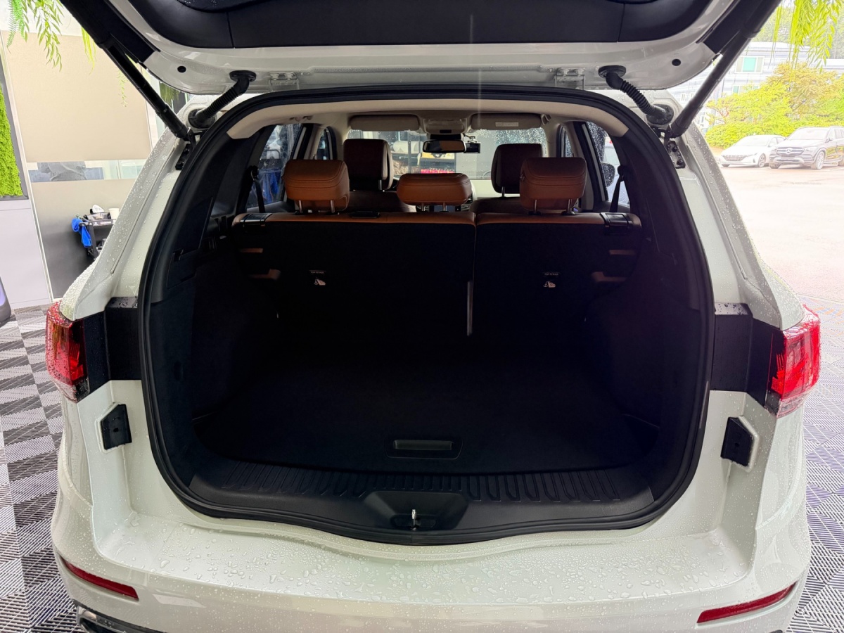 Renault QM6, 2022 — фото 9 из 11
