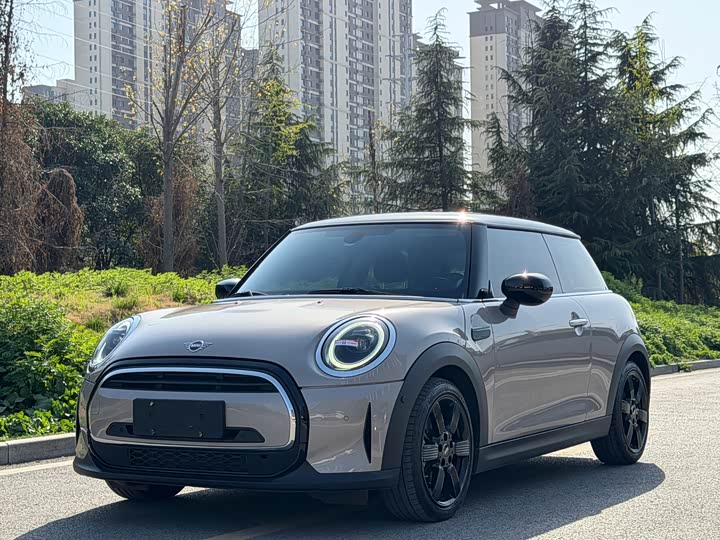Mini Mini, 2023 — купить в Калуге под ключ