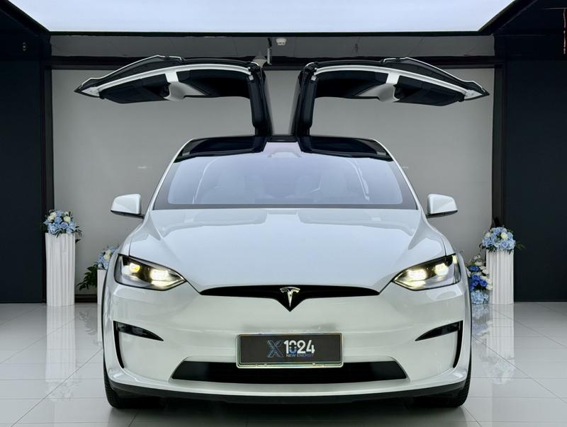 Tesla Model X, 2023 — фото 2 из 12
