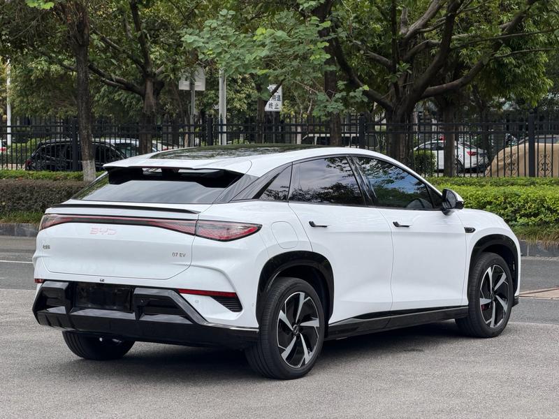 BYD Sea Lion 07 EV, 2024 — фото 7 из 12
